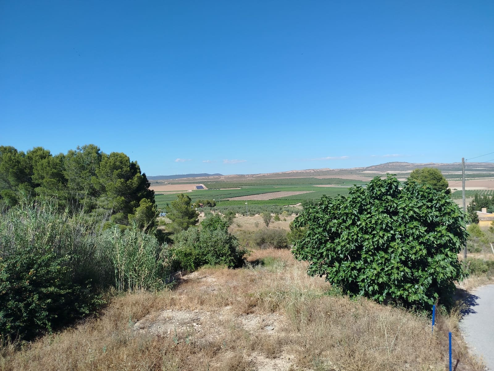 3 bedroom Finca/Country House for sale in Yecla with pool garage - € 199,995 (Ref: 9532314)