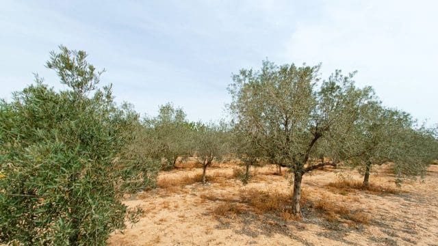 4 makuuhuone Maalaistalo myytävänä paikassa Hondon de los Frailes mukana 
autotalli - 180 000 € (Ref: 9581228)