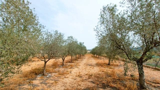4 makuuhuone Maalaistalo myytävänä paikassa Hondon de los Frailes mukana 
autotalli - 180 000 € (Ref: 9581228)