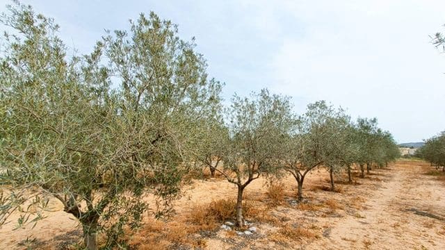 4 makuuhuone Maalaistalo myytävänä paikassa Hondon de los Frailes mukana 
autotalli - 180 000 € (Ref: 9581228)