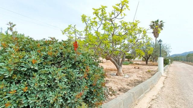 4 makuuhuone Maalaistalo myytävänä paikassa Hondon de los Frailes mukana 
autotalli - 180 000 € (Ref: 9581228)