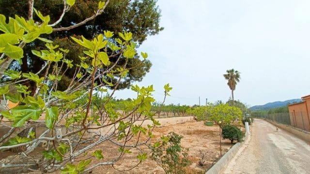 4 makuuhuone Maalaistalo myytävänä paikassa Hondon de los Frailes mukana 
autotalli - 180 000 € (Ref: 9581228)