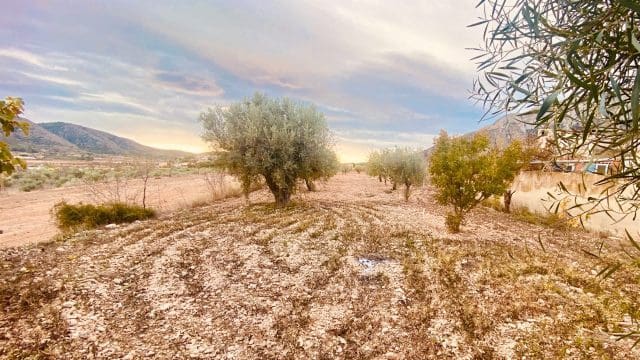 9 Zimmer Villa zu verkaufen in Abanilla mit Garage - 269.950 € (Ref: 9581249)