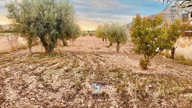 9 Zimmer Villa zu verkaufen in Abanilla mit Garage - 269.950 € (Ref: 9581249)