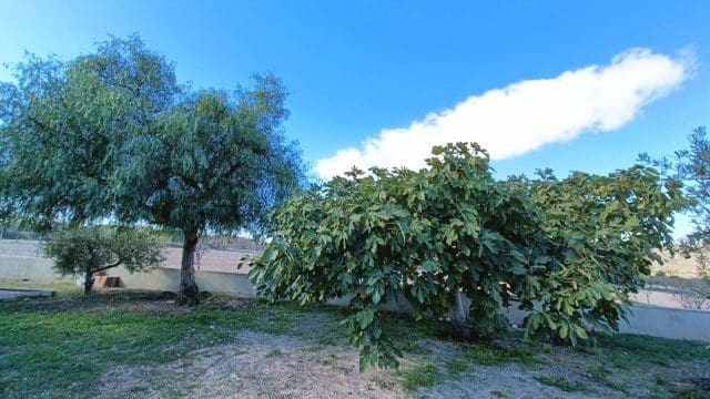 4 sypialnia Willa na sprzedaż w Hondon de los Frailes z garażem - 245 000 € (Ref: 9581345)