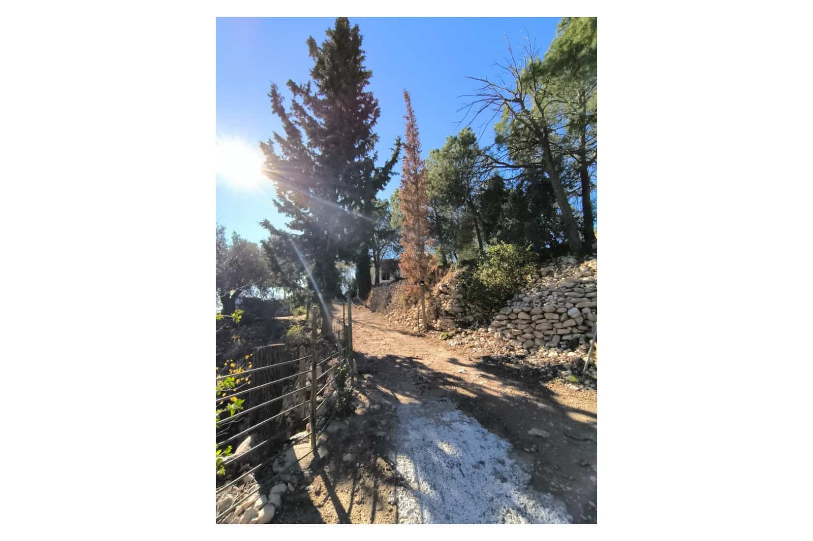 5 bedroom Finca/Country House for sale in Fortuna with pool garage - € 245,000 (Ref: 9729767)