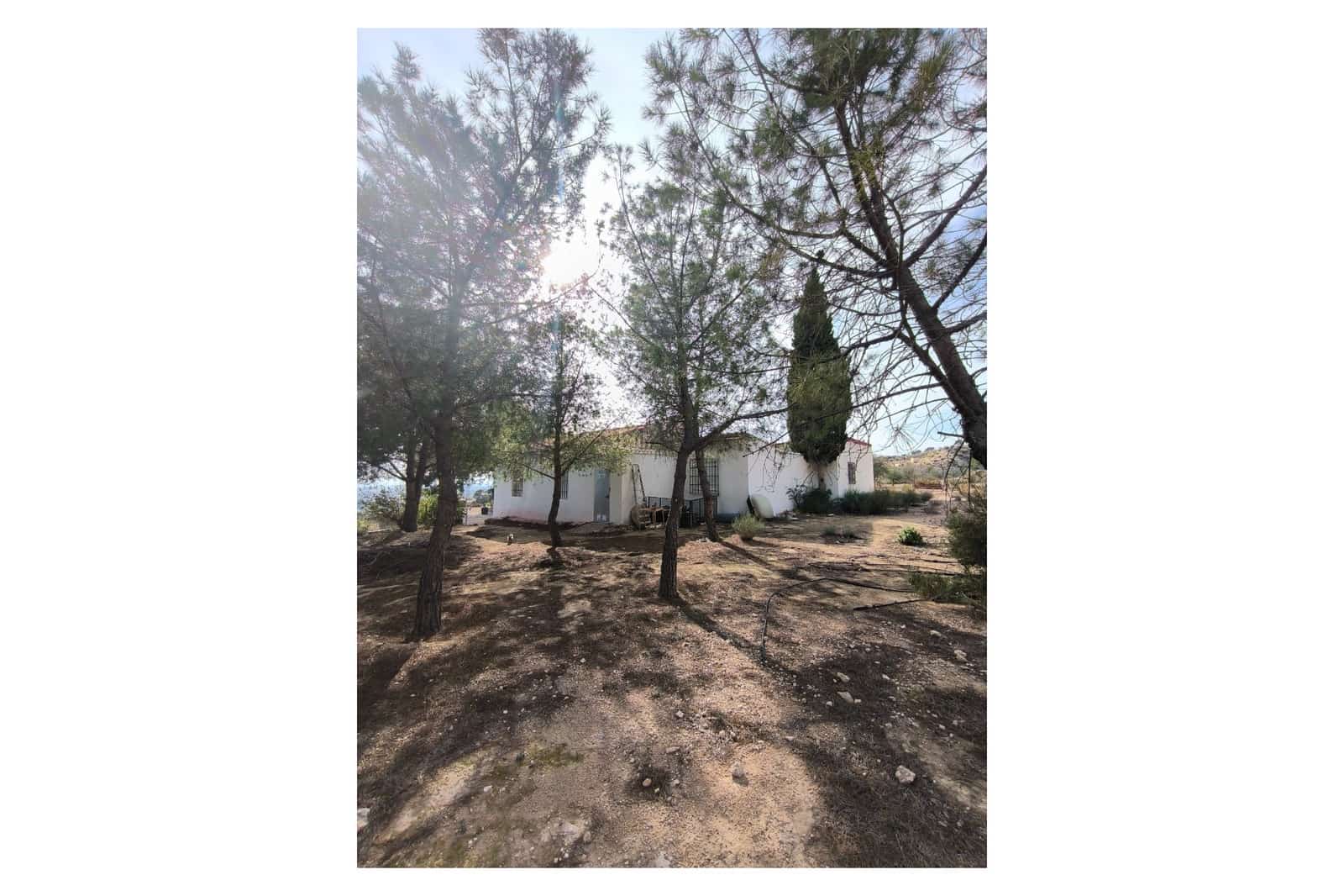 5 bedroom Finca/Country House for sale in Fortuna with pool garage - € 245,000 (Ref: 9729767)