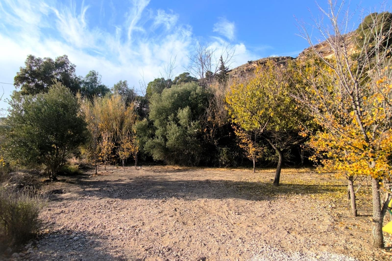 5 bedroom Finca/Country House for sale in Fortuna with pool garage - € 245,000 (Ref: 9729767)