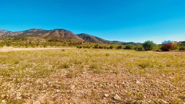 5 bedroom Finca/Country House for sale in El Canton with pool garage - € 475,000 (Ref: 9729768)