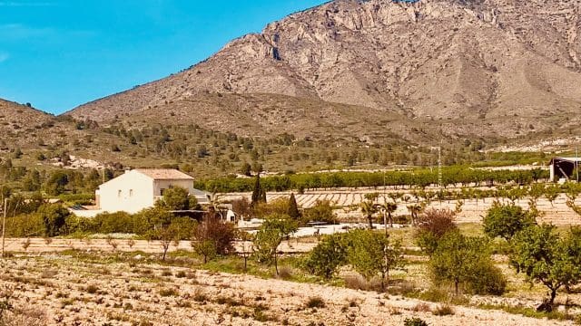 5 bedroom Finca/Country House for sale in El Canton with pool garage - € 475,000 (Ref: 9729768)