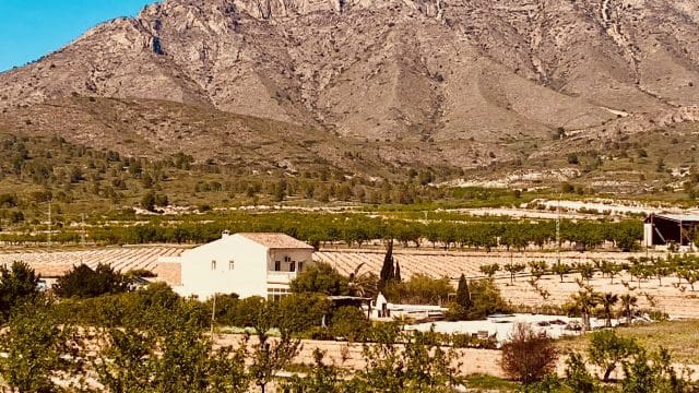 5 bedroom Finca/Country House for sale in El Canton with pool garage - € 475,000 (Ref: 9729768)