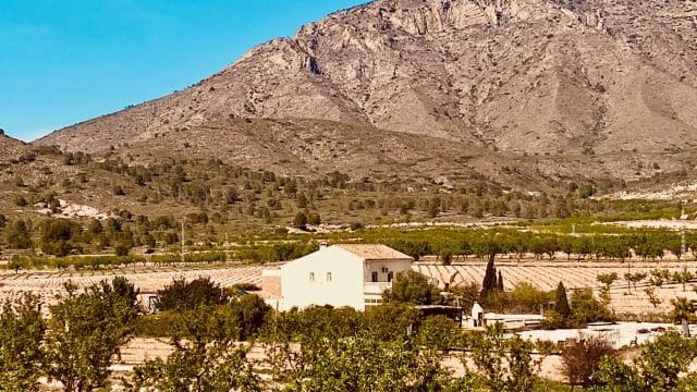 5 bedroom Finca/Country House for sale in El Canton with pool garage - € 475,000 (Ref: 9729768)