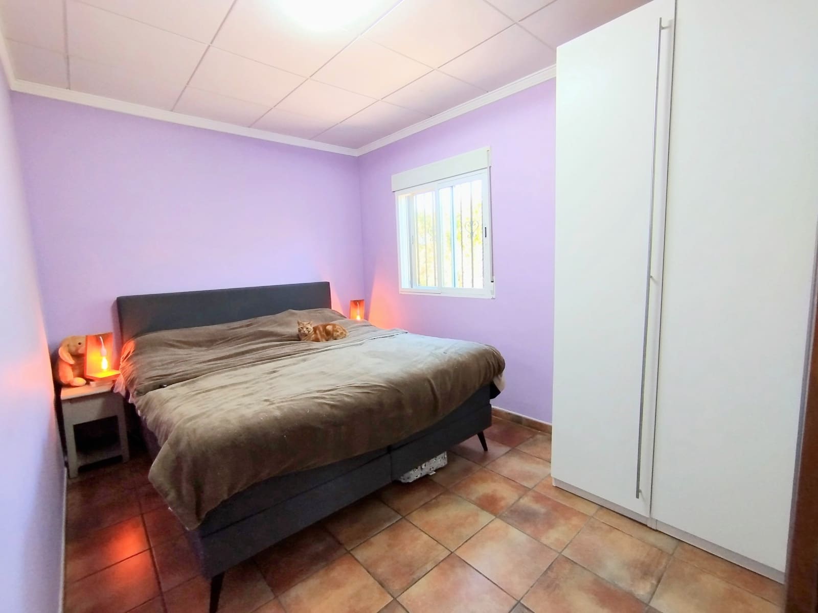 Finca/Casa Rural en Caudete en venta con piscina garaje - 169.995 € (Ref: 9740264)