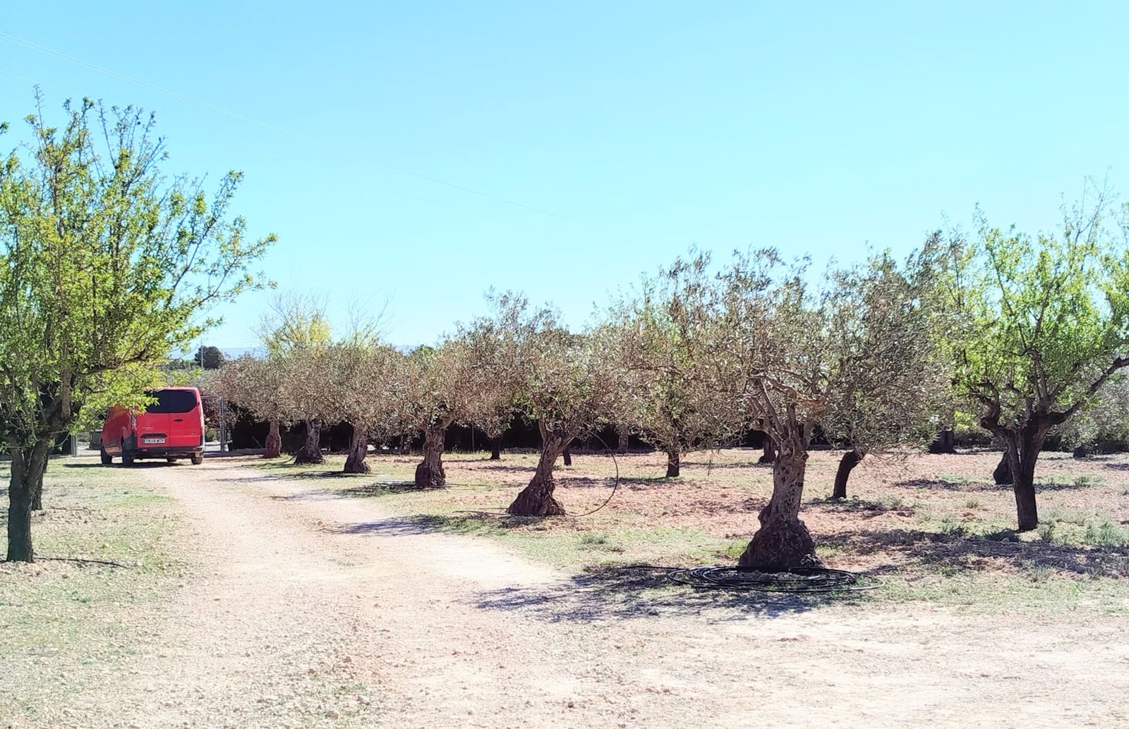 Finca/Casa Rural en Caudete en venta con piscina garaje - 169.995 € (Ref: 9740264)