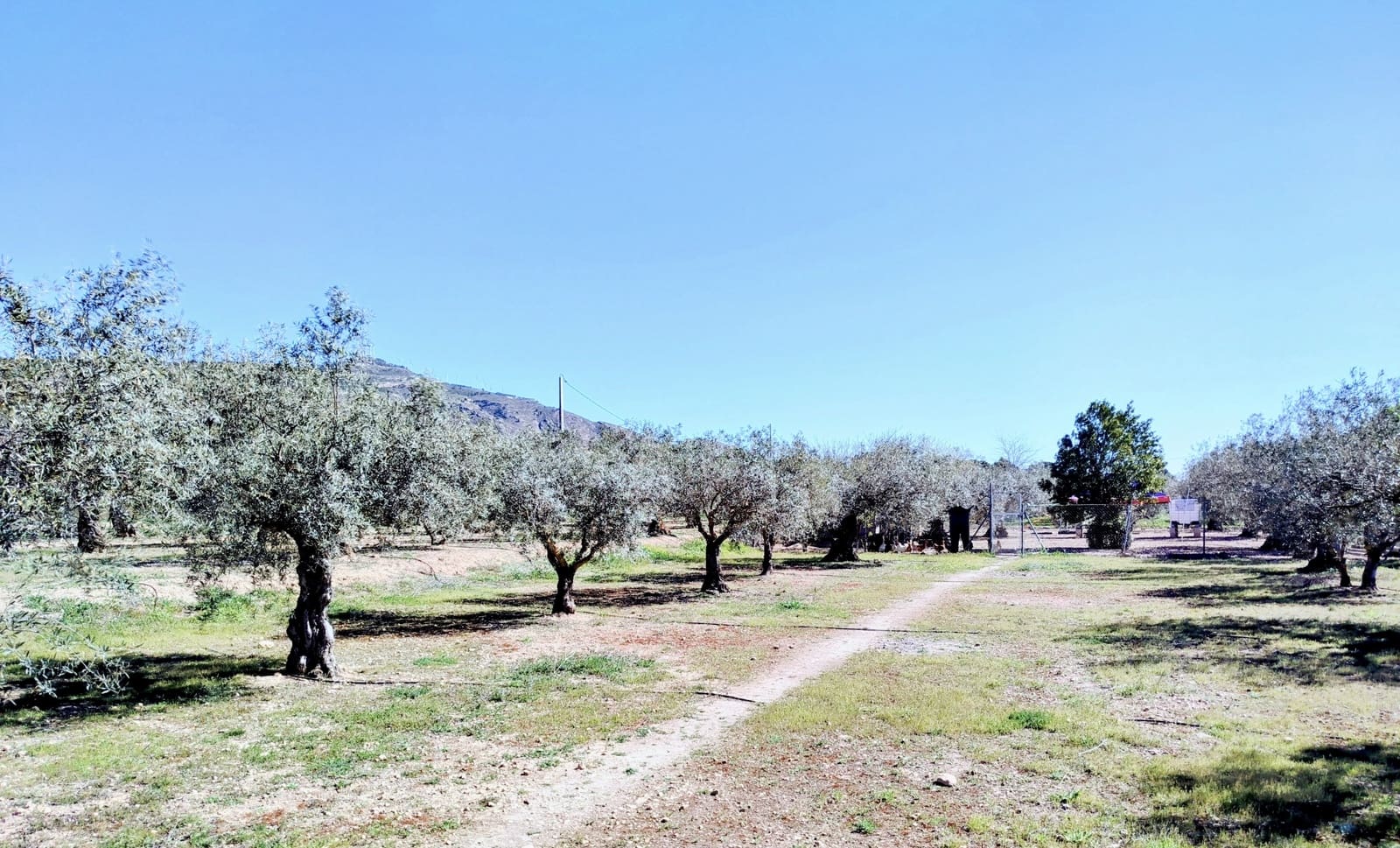 Finca/Casa Rural en Caudete en venta con piscina garaje - 169.995 € (Ref: 9740264)