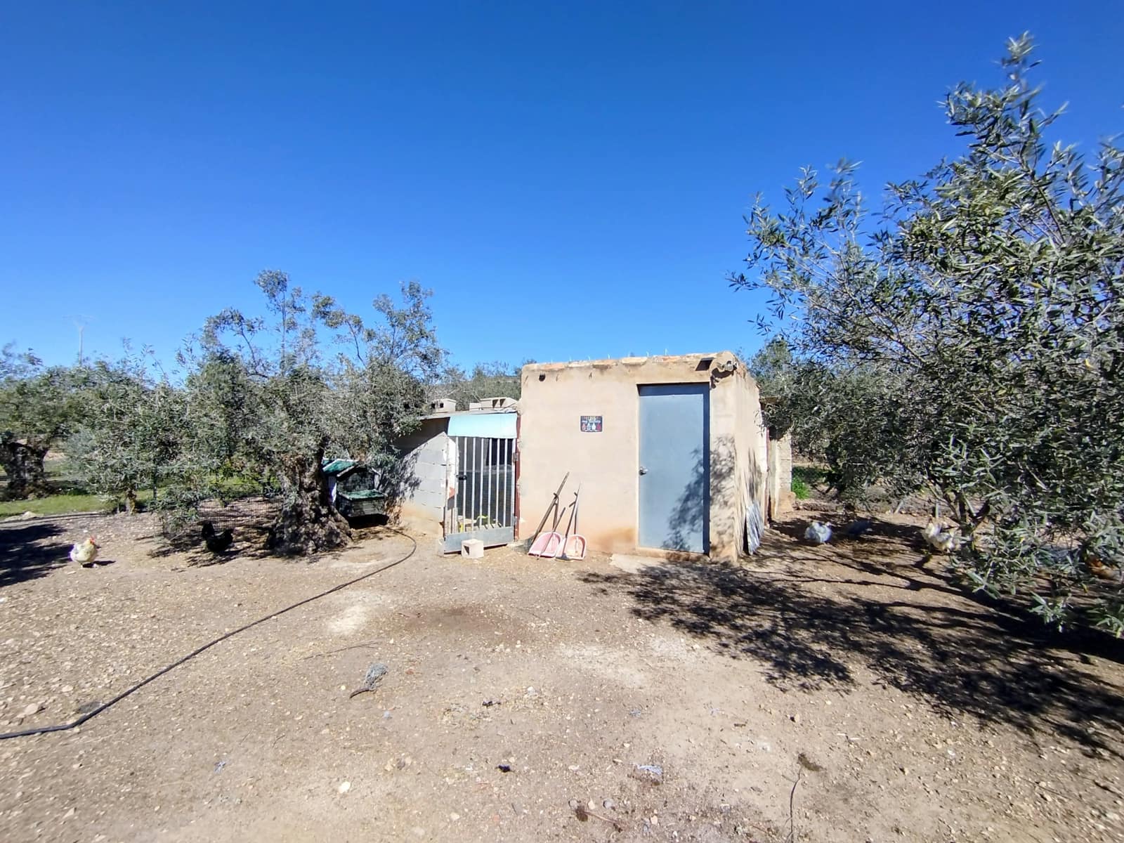 Finca/Casa Rural en Caudete en venta con piscina garaje - 169.995 € (Ref: 9740264)