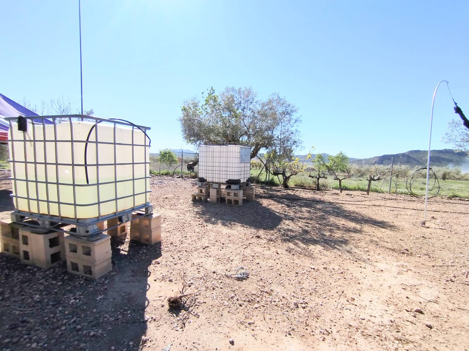 Finca/Casa Rural en Caudete en venta con piscina garaje - 169.995 € (Ref: 9740264)