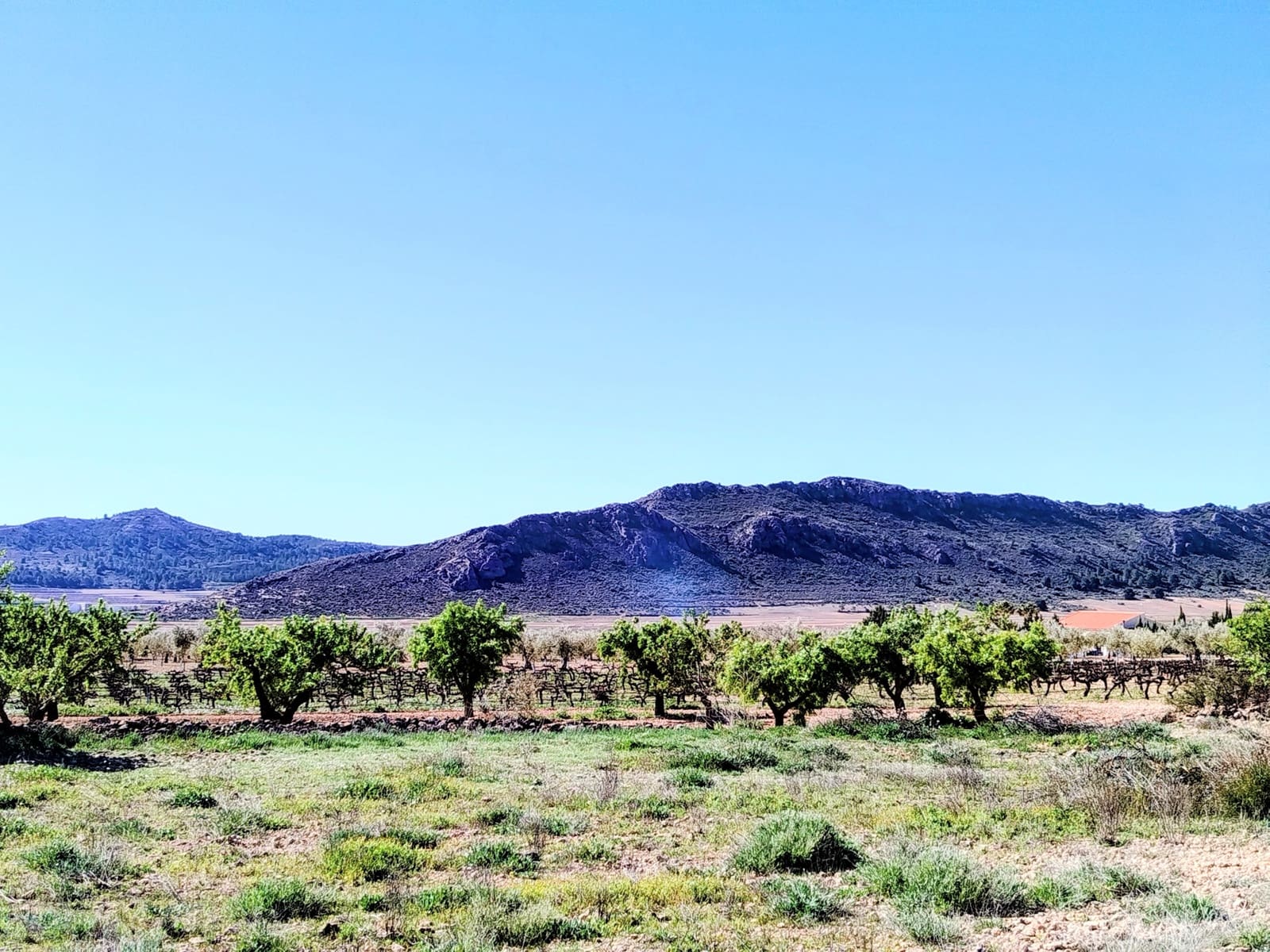 Finca/Casa Rural en Caudete en venta con piscina garaje - 169.995 € (Ref: 9740264)