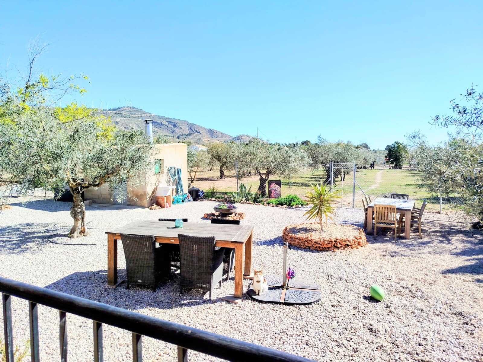 Finca/Casa Rural en Caudete en venta con piscina garaje - 169.995 € (Ref: 9740264)