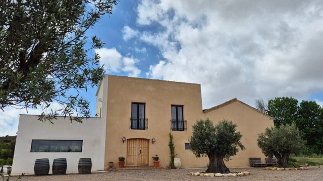 5 bedroom Finca/Country House for sale in Almansa with pool - € 799,000 (Ref: 9838612)