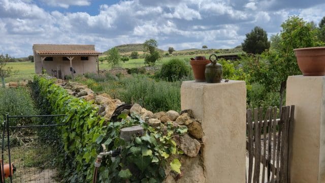 5 bedroom Finca/Country House for sale in Almansa with pool - € 799,000 (Ref: 9838612)