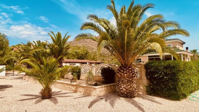 4 soveværelse Villa til salg i Macisvenda med swimmingpool garage - € 475.000 (Ref: 9838713)