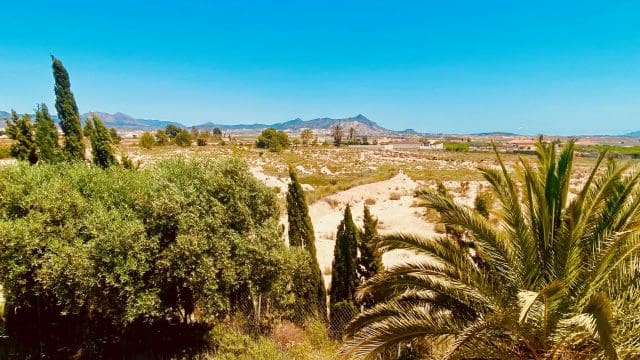 2 bedroom Villa for sale in Fortuna with garage - € 159,950 (Ref: 9839749)