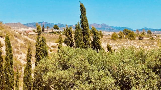 2 bedroom Villa for sale in Fortuna with garage - € 159,950 (Ref: 9839749)