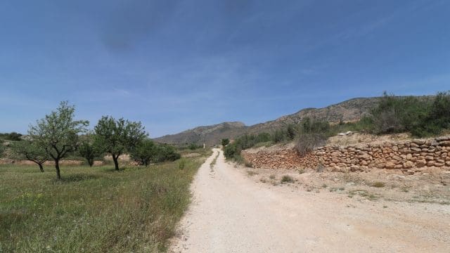 5 bedroom Finca/Country House for sale in Hondon de las Nieves with pool - € 399,500 (Ref: 9839770)