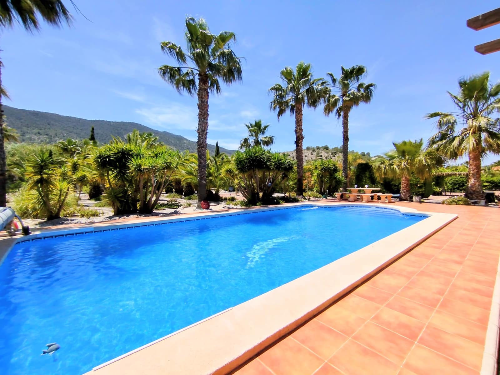 5 soverom Villa til salgs i Hondon de las Nieves med svømmebasseng garasje - € 475 000 (Ref: 9872323)