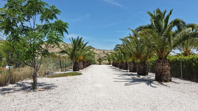 5 soverom Villa til salgs i Hondón de las Nieves med svømmebasseng garasje - € 475 000 (Ref: 9872323)