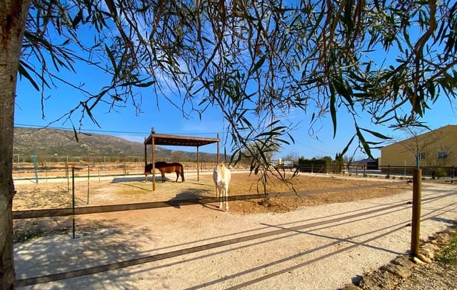 4 soverom Finca/Herregård til salgs i Pinoso med svømmebasseng garasje - € 390 000 (Ref: 9919058)