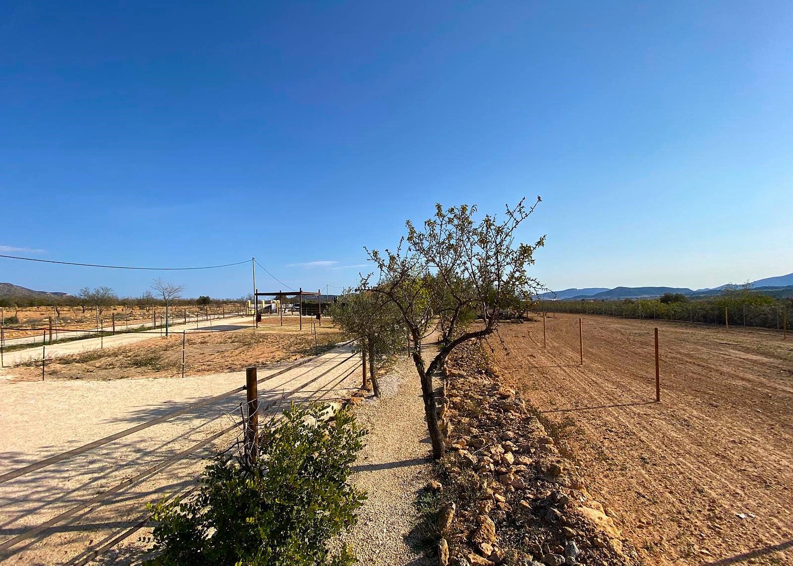 4 soverom Finca/Herregård til salgs i Pinoso med svømmebasseng garasje - € 390 000 (Ref: 9919058)