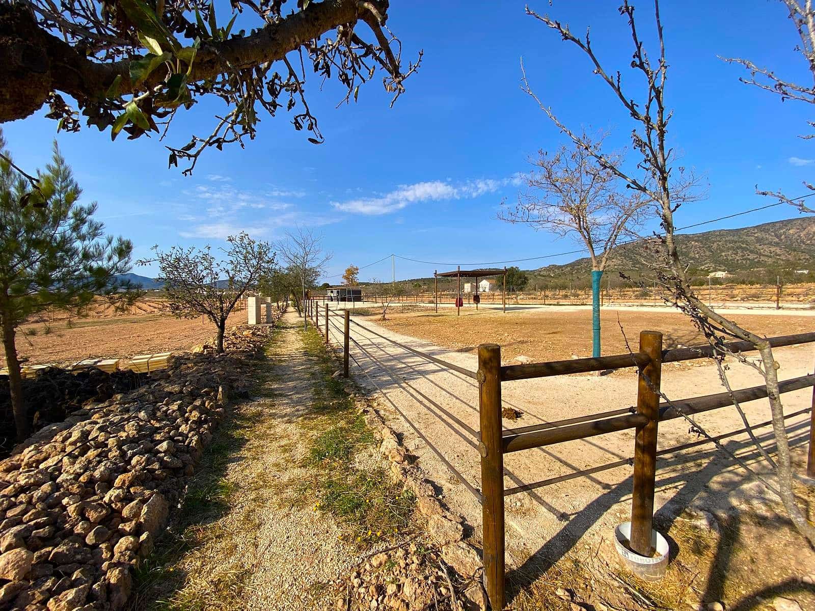 4 soverom Finca/Herregård til salgs i Pinoso med svømmebasseng garasje - € 390 000 (Ref: 9919058)