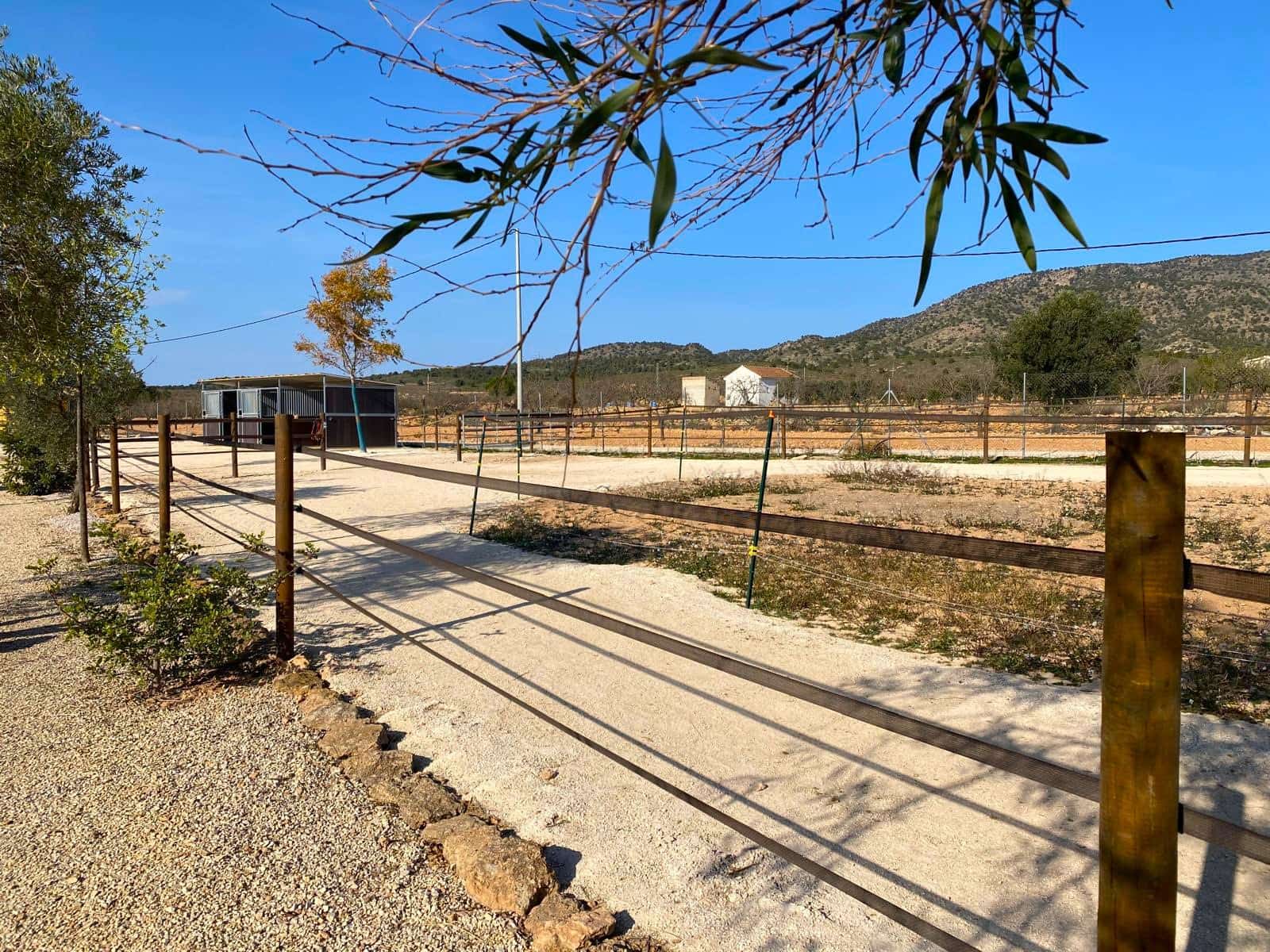 4 soverom Finca/Herregård til salgs i Pinoso med svømmebasseng garasje - € 390 000 (Ref: 9919058)