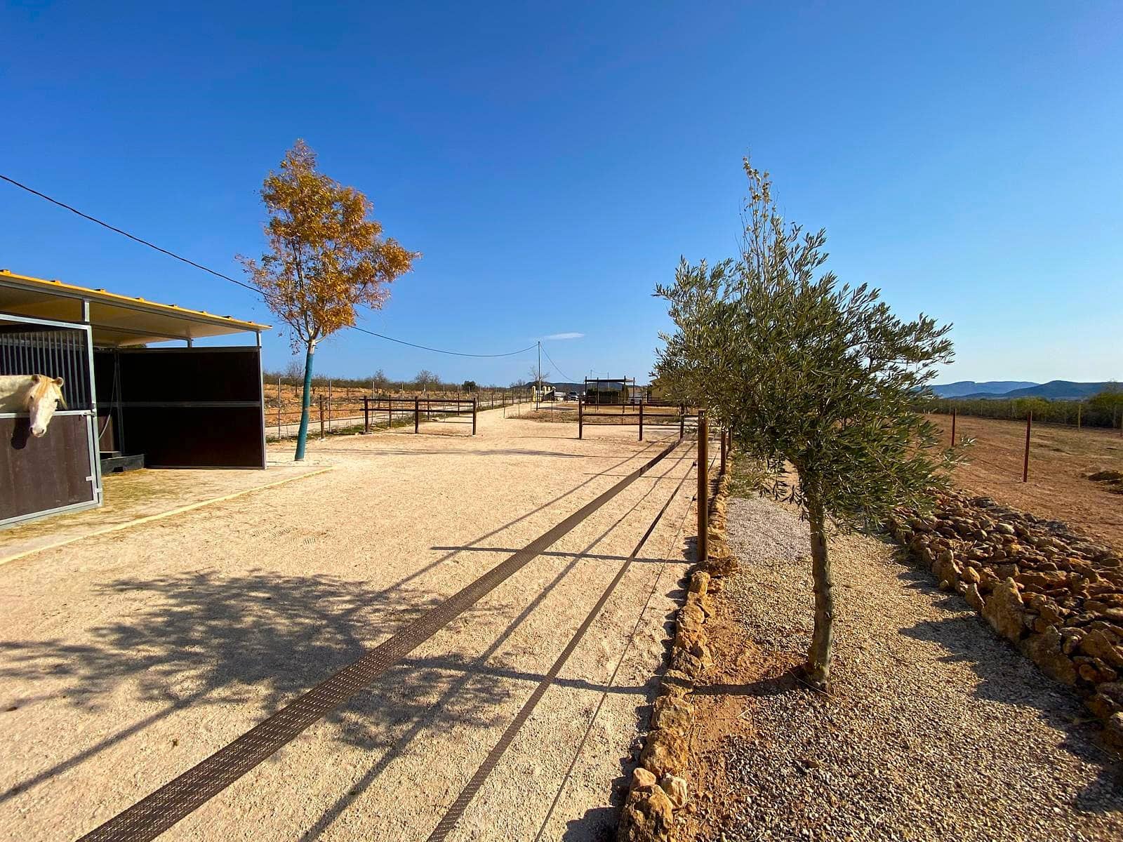 4 soverom Finca/Herregård til salgs i Pinoso med svømmebasseng garasje - € 390 000 (Ref: 9919058)