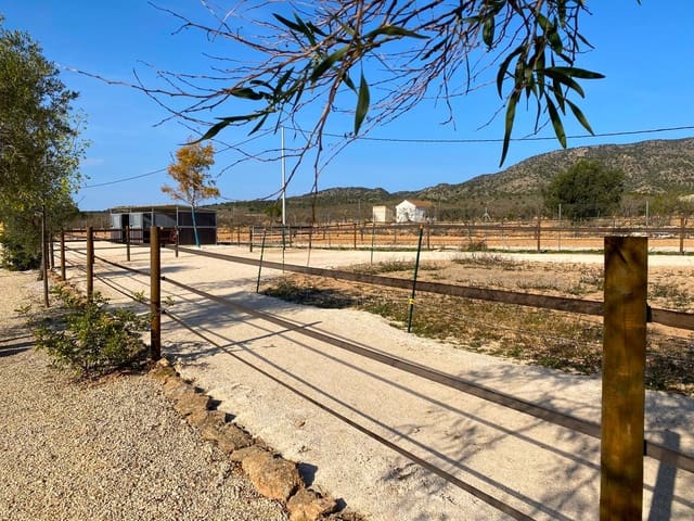 4 soverom Finca/Herregård til salgs i Pinoso med svømmebasseng garasje - € 390 000 (Ref: 9919058)