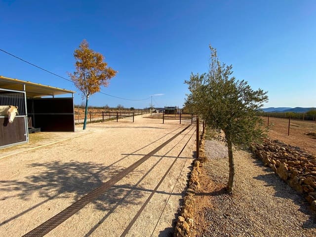 4 soverom Finca/Herregård til salgs i Pinoso med svømmebasseng garasje - € 390 000 (Ref: 9919058)