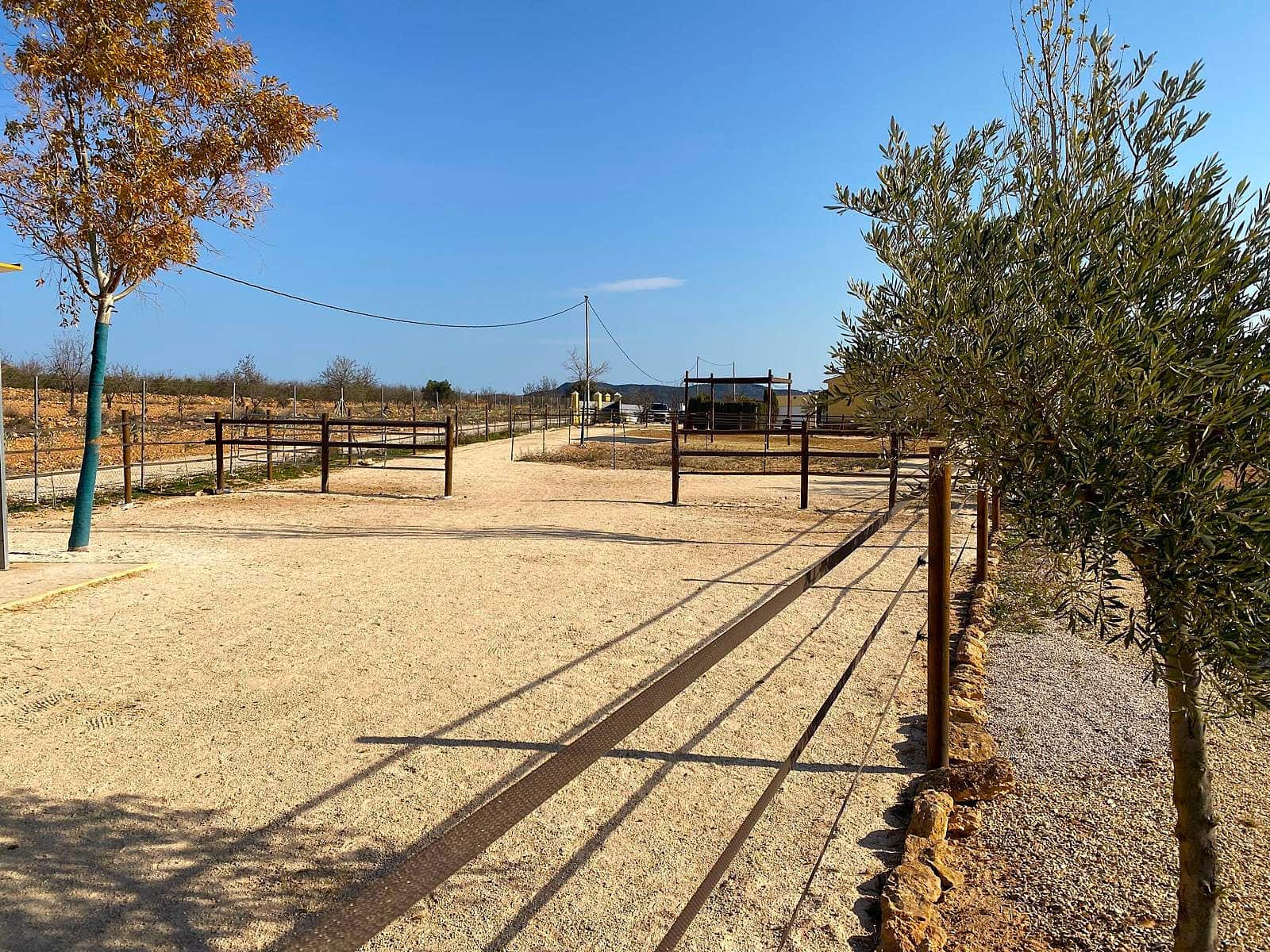 4 soverom Finca/Herregård til salgs i Pinoso med svømmebasseng garasje - € 390 000 (Ref: 9919058)