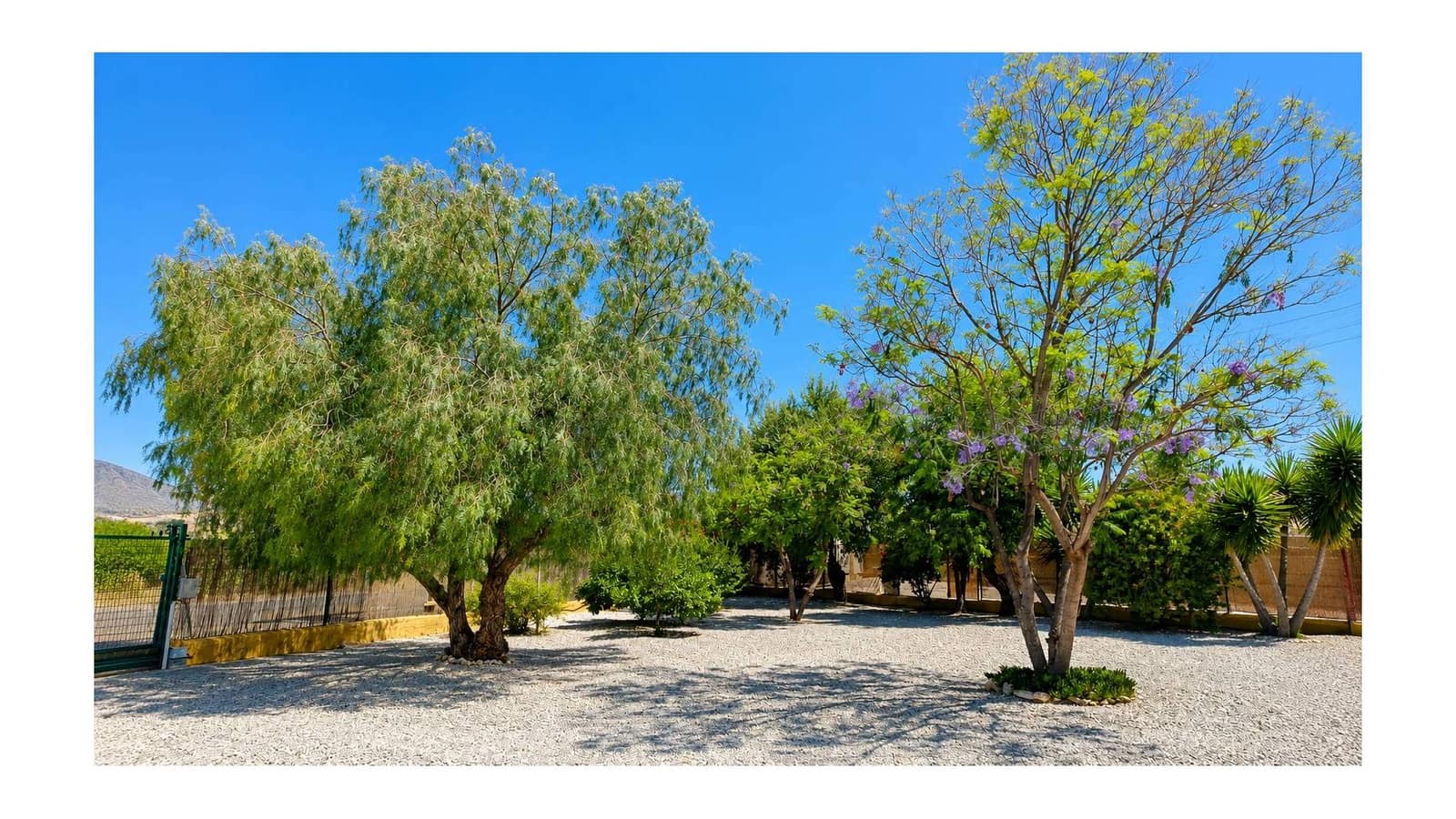 3 chambre Villa/Maison à vendre à Macisvenda avec piscine garage - 265 000 € (Ref: 9919059)