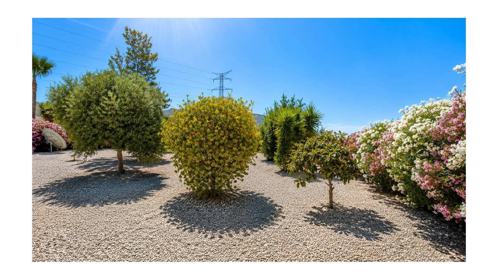 3 chambre Villa/Maison à vendre à Macisvenda avec piscine garage - 265 000 € (Ref: 9919059)