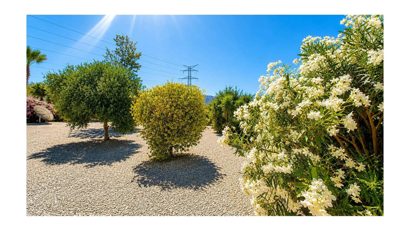 3 chambre Villa/Maison à vendre à Macisvenda avec piscine garage - 265 000 € (Ref: 9919059)