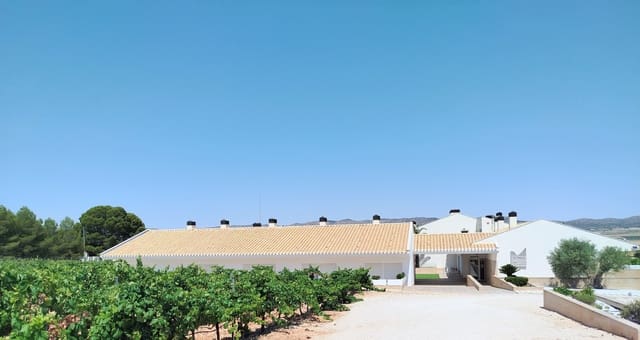Finca/Casa Rural de 11 habitaciones en Yecla en venta con piscina garaje - 1.700.000 € (Ref: 9980097)
