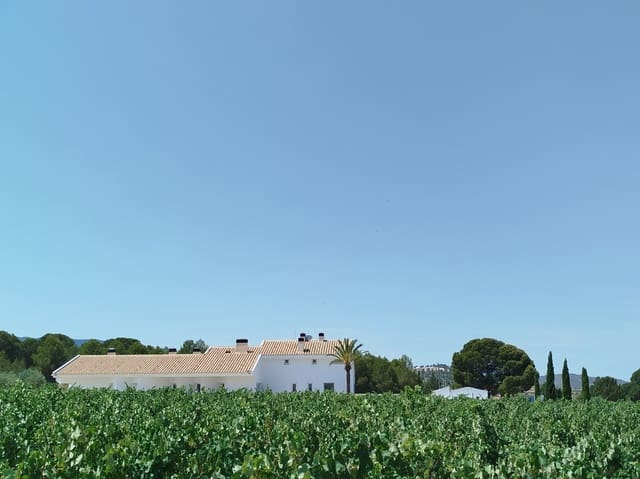 Finca/Casa Rural de 11 habitaciones en Yecla en venta con piscina garaje - 1.700.000 € (Ref: 9980097)