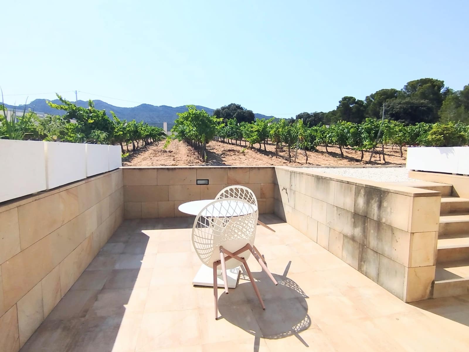 Finca/Casa Rural de 11 habitaciones en Yecla en venta con piscina garaje - 1.700.000 € (Ref: 9980097)