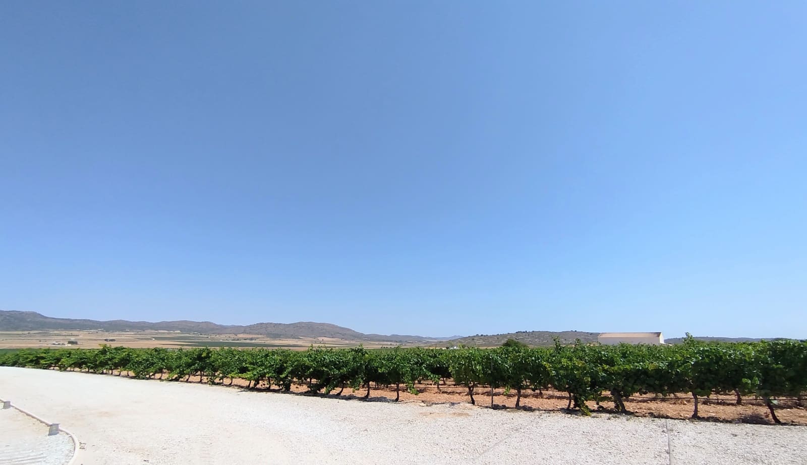 Finca/Casa Rural de 11 habitaciones en Yecla en venta con piscina garaje - 1.700.000 € (Ref: 9980097)