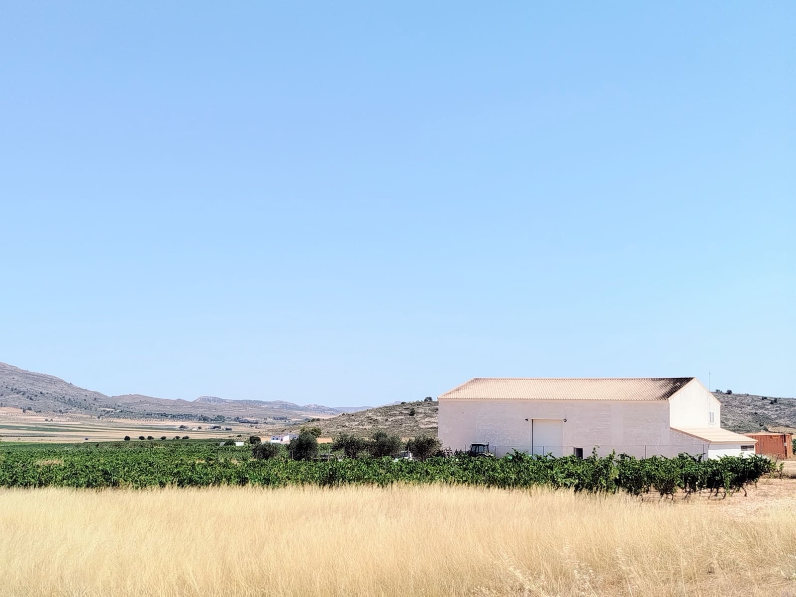Finca/Casa Rural de 11 habitaciones en Yecla en venta con piscina garaje - 1.700.000 € (Ref: 9980097)