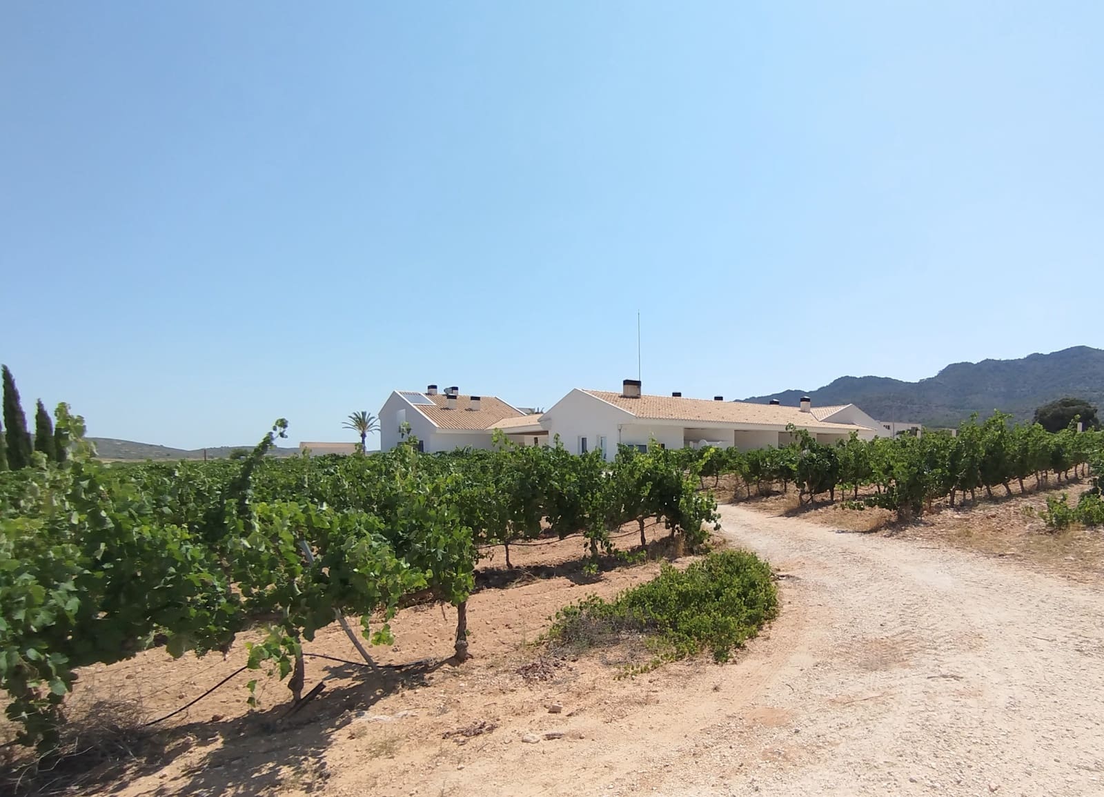 Finca/Casa Rural de 11 habitaciones en Yecla en venta con piscina garaje - 1.700.000 € (Ref: 9980097)