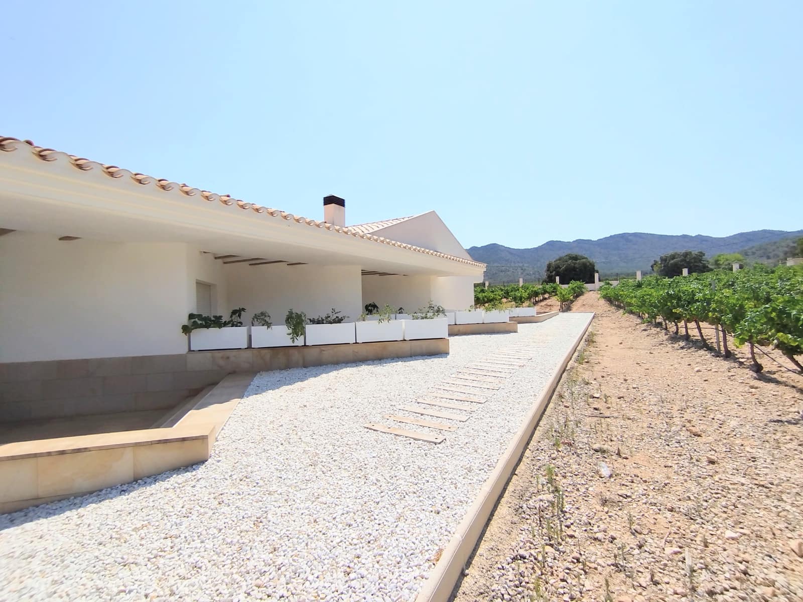 Finca/Casa Rural de 11 habitaciones en Yecla en venta con piscina garaje - 1.700.000 € (Ref: 9980097)