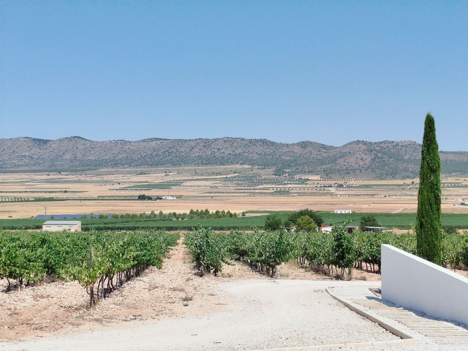 Finca/Casa Rural de 11 habitaciones en Yecla en venta con piscina garaje - 1.700.000 € (Ref: 9980097)